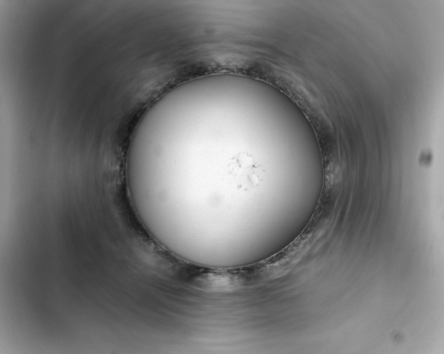 X0000102380464200808151901