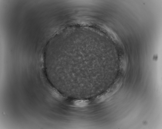 X0000102380465200808151901