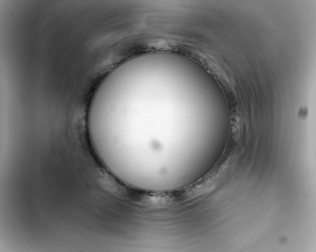 X0000102380466200808151901