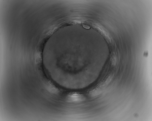 X0000102380467200808151901