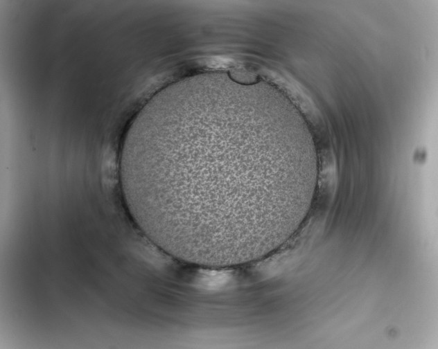 X0000102380469200808151901