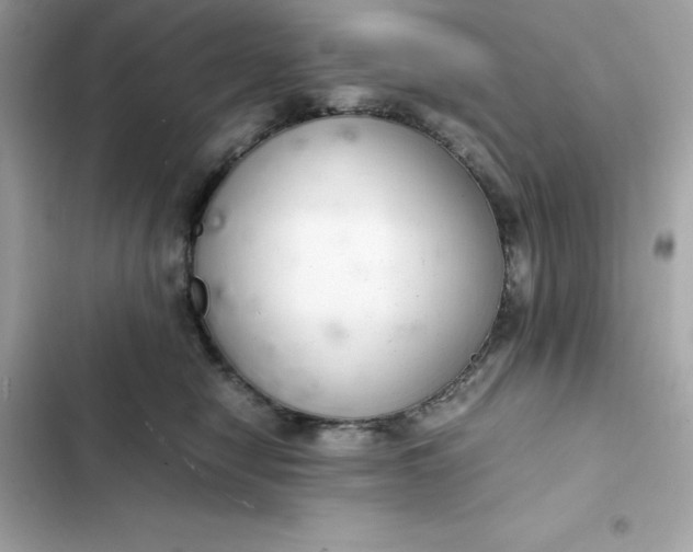 X0000102380470200808151901