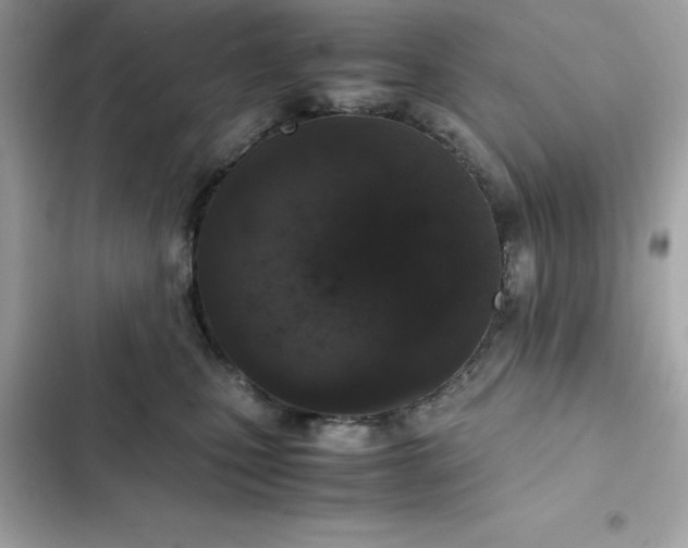 X0000102380471200808151901