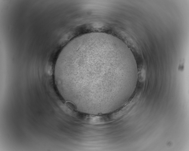 X0000102380472200808151901