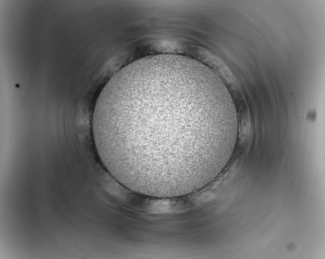 X0000102380473200808151901