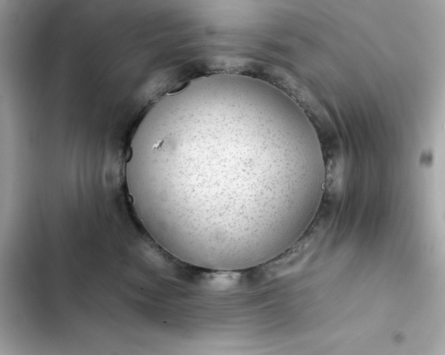 X0000102380474200808151901