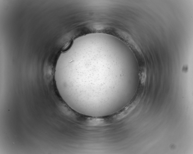 X0000102380476200808151901