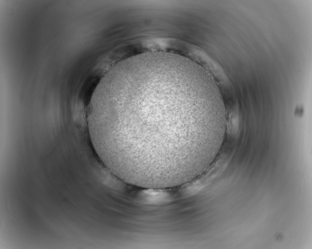 X0000102380477200808151901