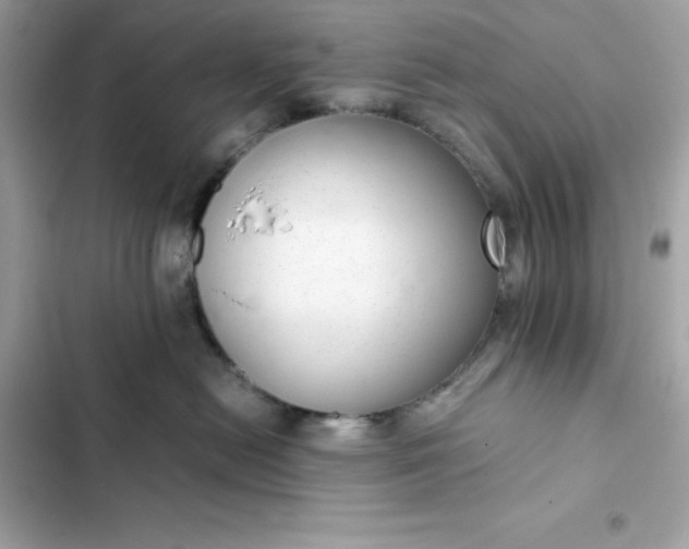 X0000102380478200808151901