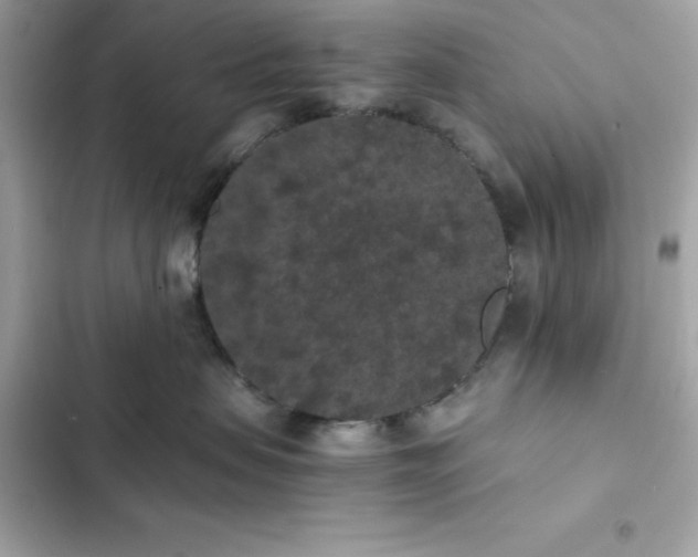 X0000102380479200808151901