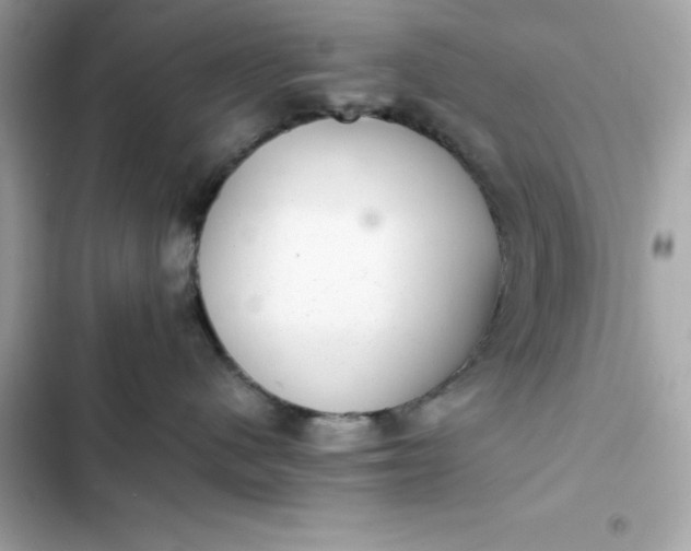 X0000102380480200808151902