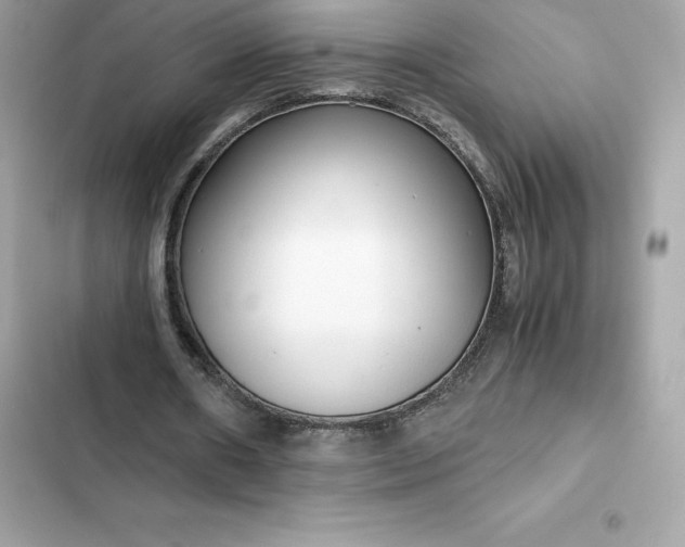 X0000102380482200808151901