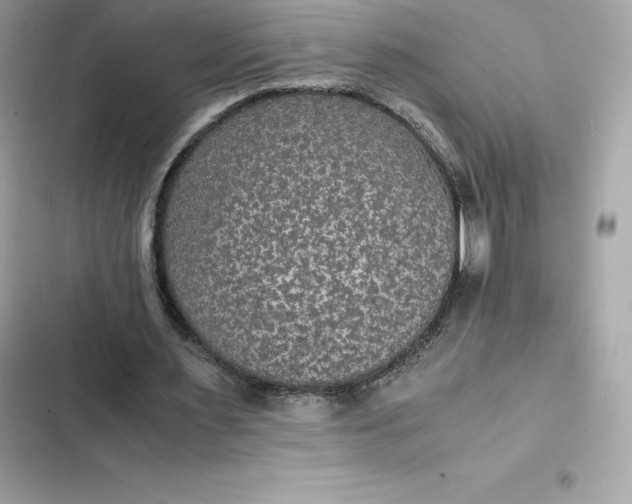 X0000102380483200808151901