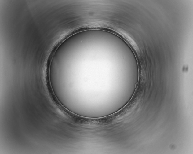 X0000102380485200808151901