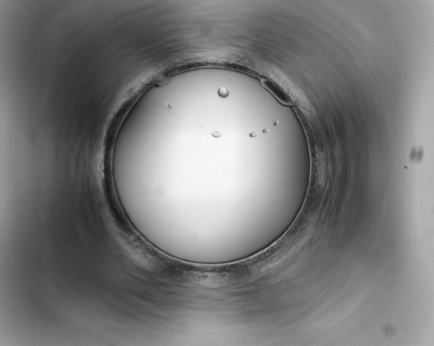 X0000102380486200808151901