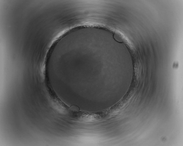 X0000102380488200808151901