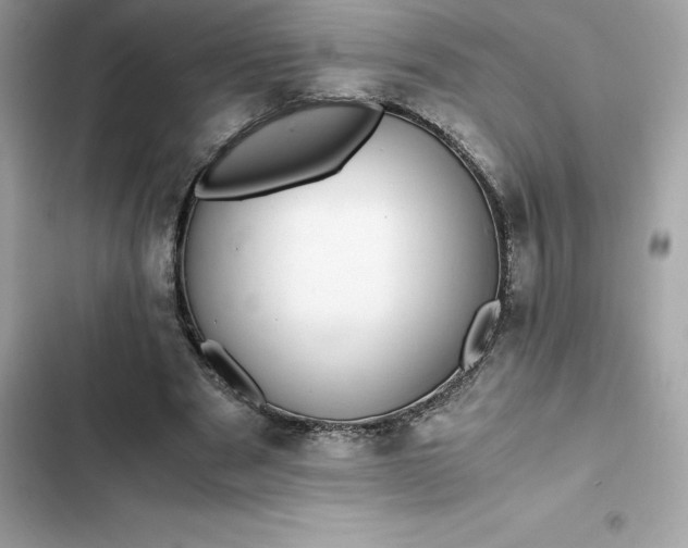 X0000102380489200808151901