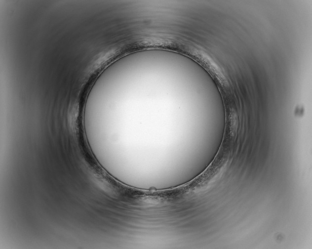 X0000102380490200808151901