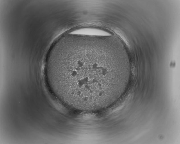 X0000102380491200808151901