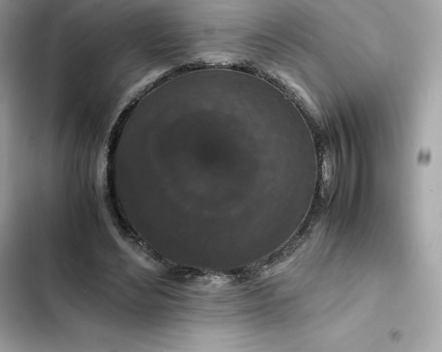 X0000102380492200808151901