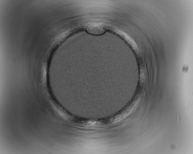 X0000102380493200808151901