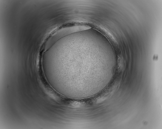 X0000102380494200808151901