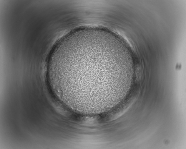 X0000102380495200808151901