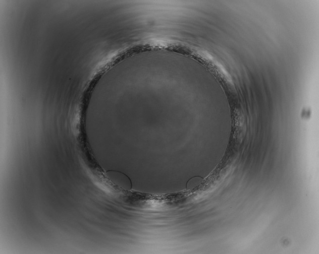 X0000102380496200808151901