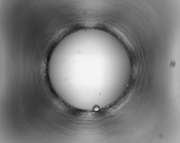 X0000102380497200808151901