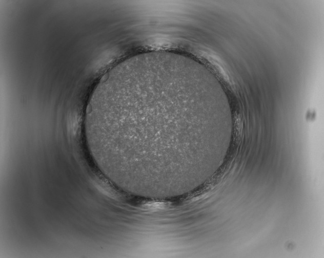 X0000102380499200808151901