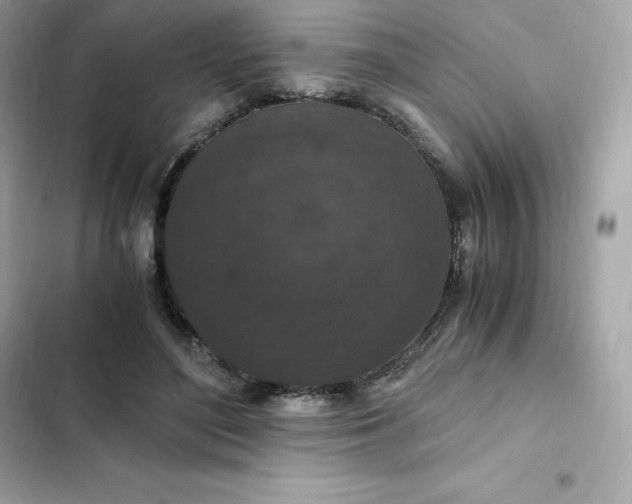 X0000102380500200808151901