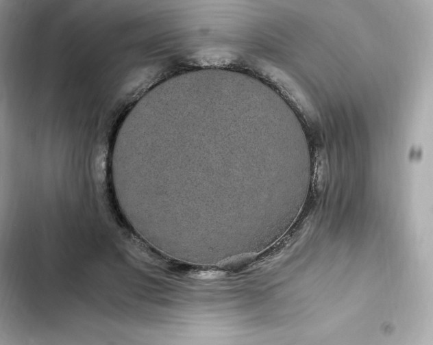 X0000102380501200808151901