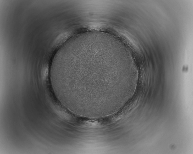 X0000102380502200808151901