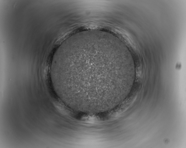 X0000102380503200808151901