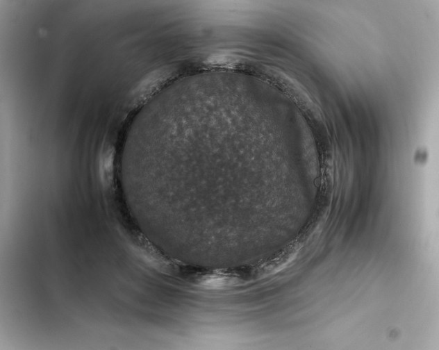 X0000102380504200808151900