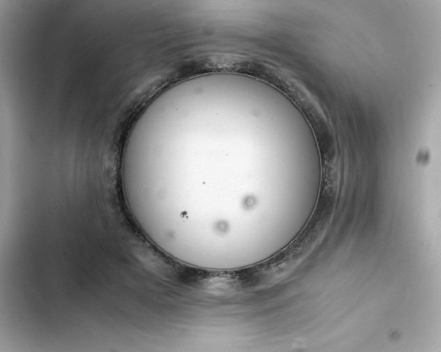 X0000102380505200808151900