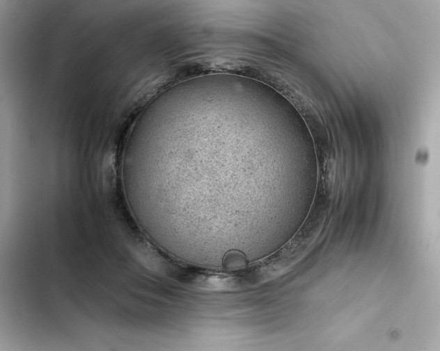 X0000102380506200808151900