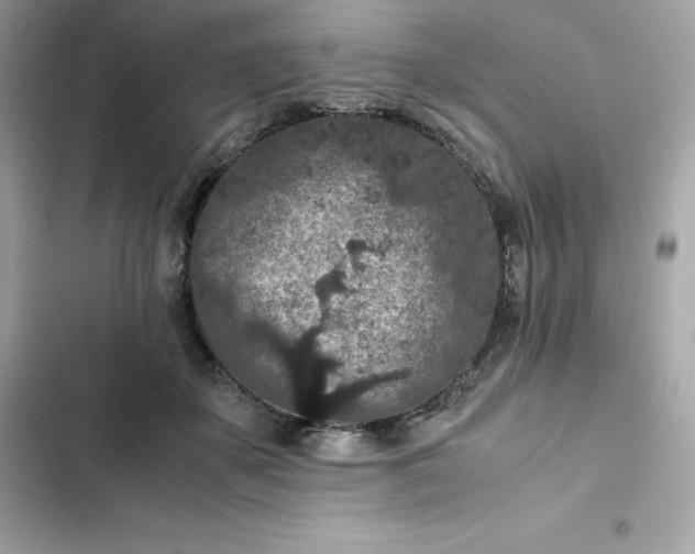 X0000102380507200808151900