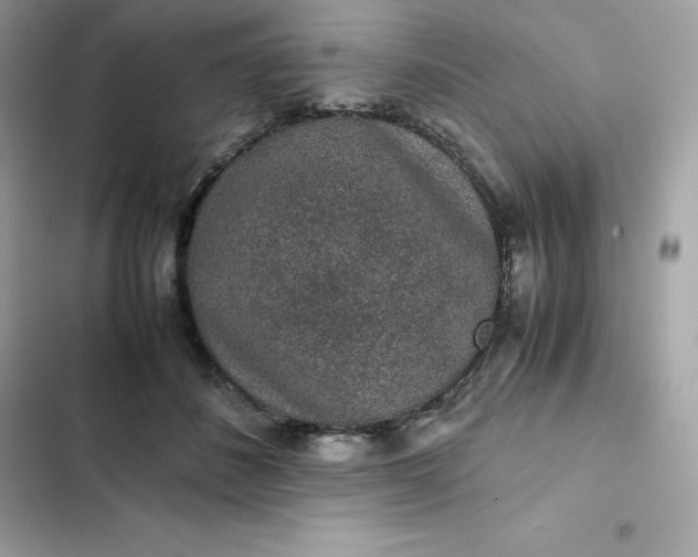 X0000102380508200808151900