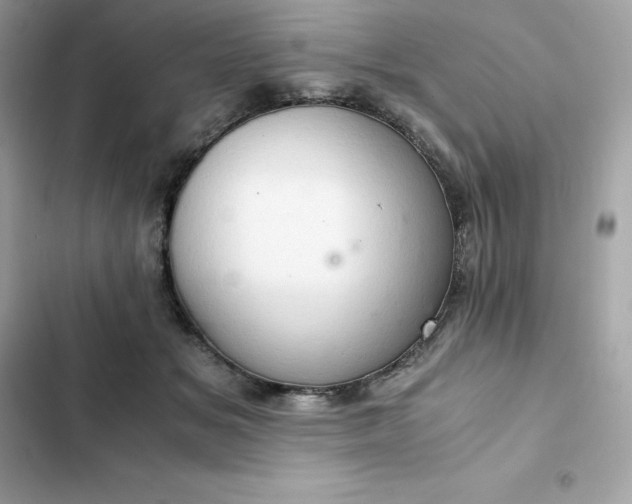 X0000102380509200808151900