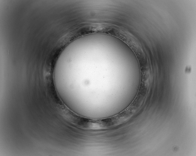 X0000102380510200808151900