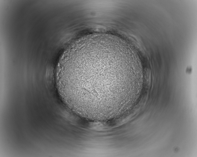 X0000102380511200808151900