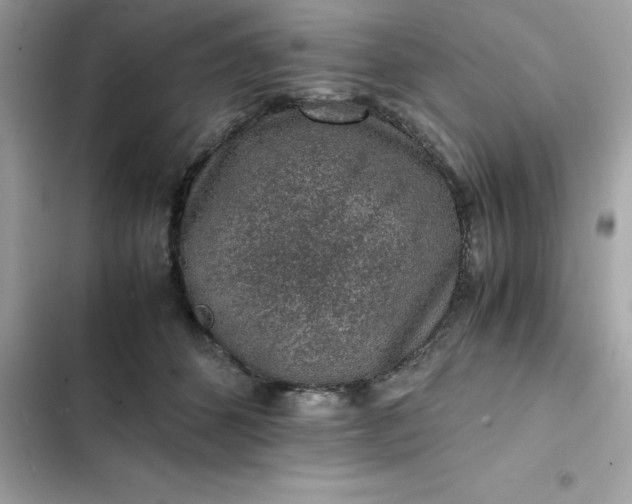 X0000102380512200808151900