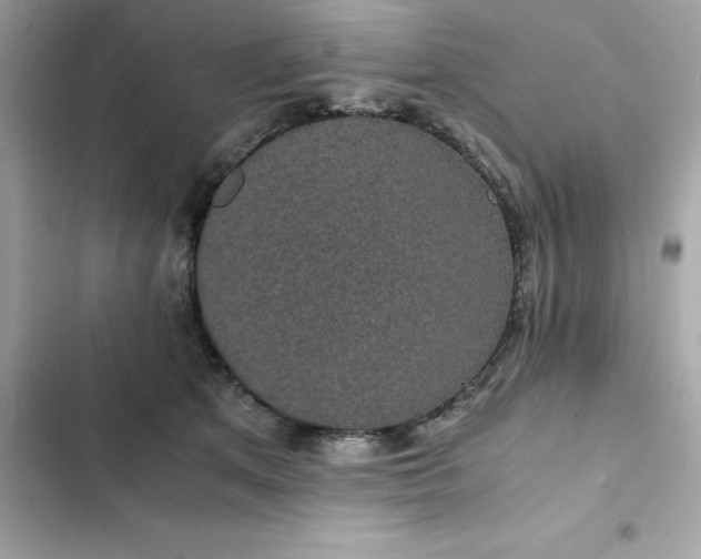 X0000102380513200808151900