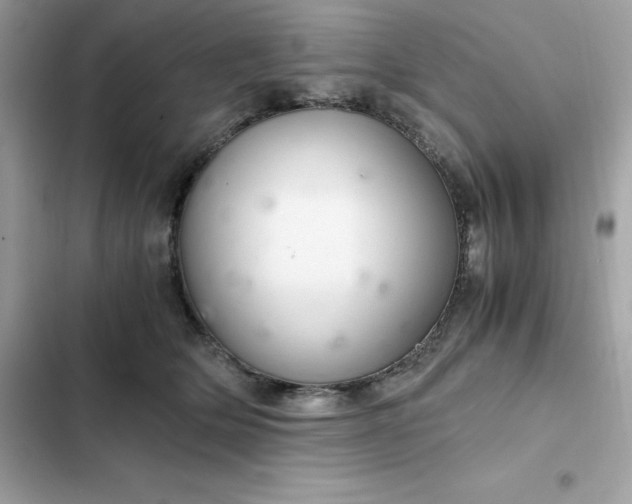 X0000102380514200808151900