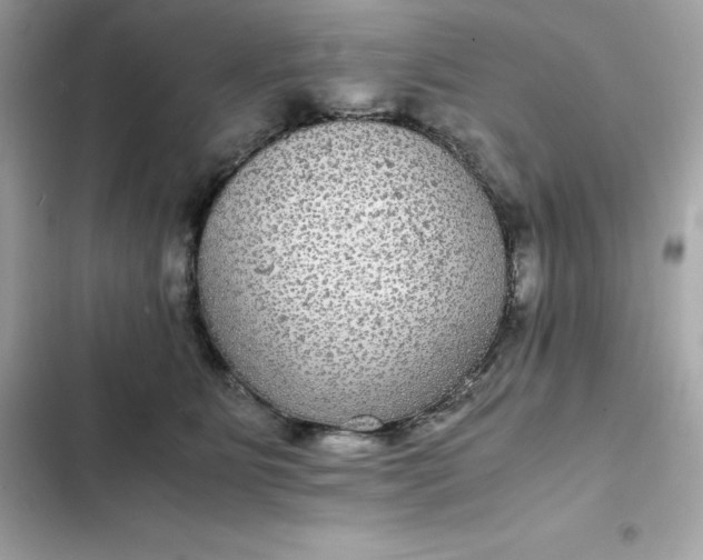 X0000102380515200808151900