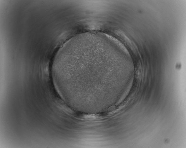 X0000102380516200808151900