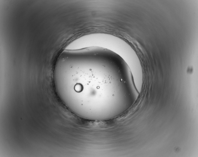 X0000102380517200808151900