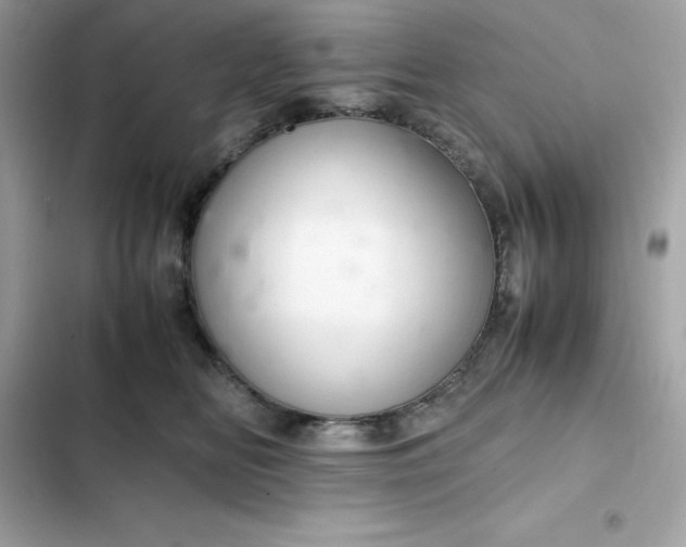 X0000102380518200808151900