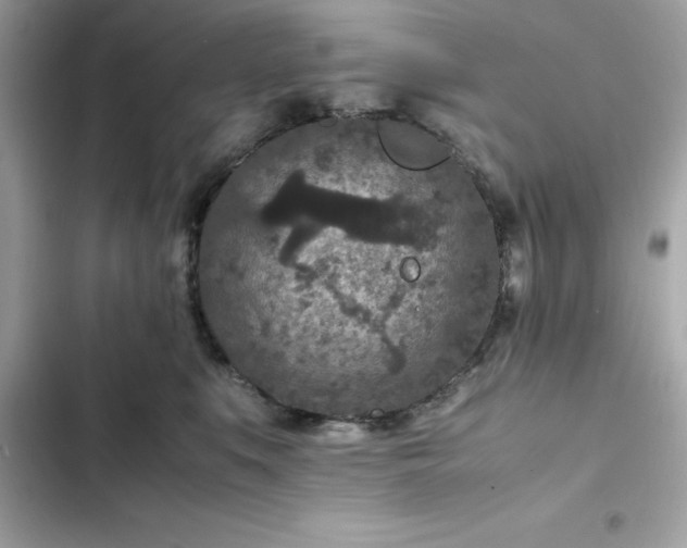 X0000102380519200808151900